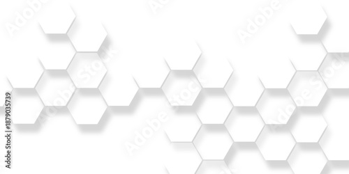 Hexagonal pattern white isolate background, modern abstract white hexagonal geometric pattern,  interconnected shapes creating a textured modern background design.