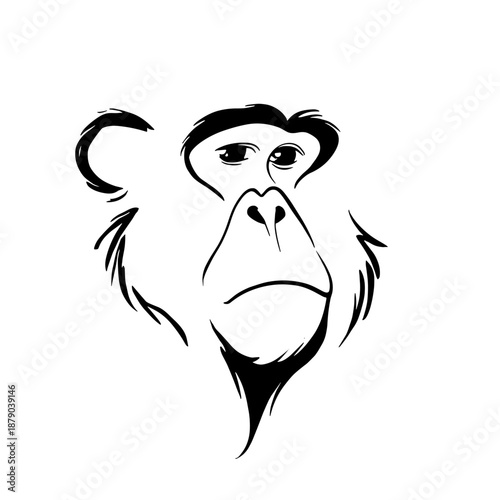 Macaque. Macaque simple black and white line art vector logo