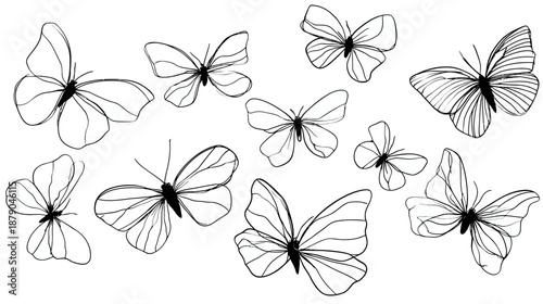 Set of minimalist line art butterflies. Black and white vector illustration with various delicate insect outlines for nature designs.