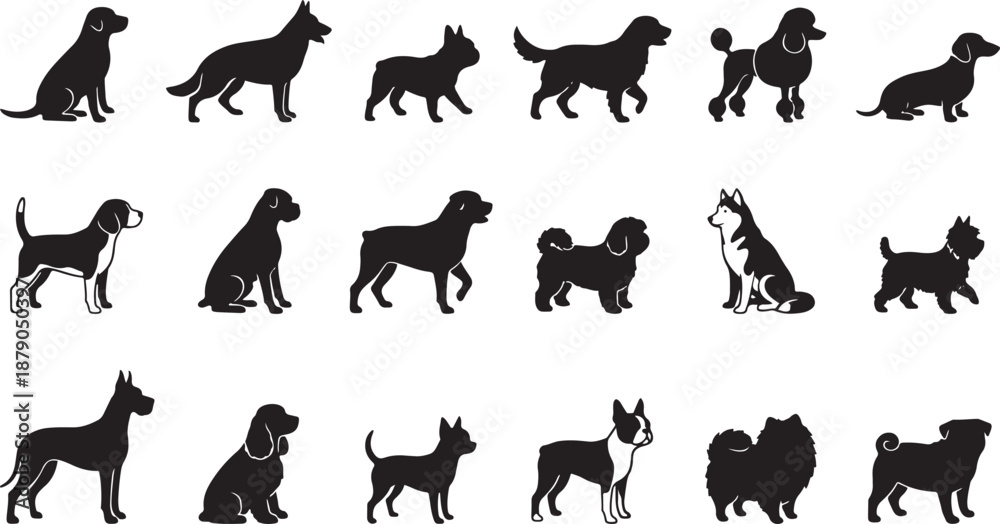 Obraz premium Vector set of black dog breed silhouettes and icons for pet design.