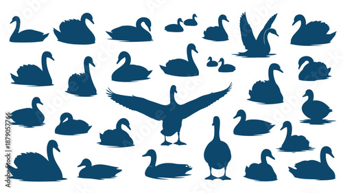 blue swan and duck silhouettes on white