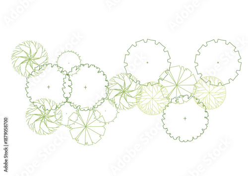 architecture drawing plant tree top view plan greenery vegetation vector. design nature architectural landscape set element illustration bush garden flora sapling minimal. architect isolated.