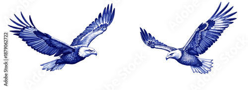 Vintage sketch of bald eagles flying in blue ink for Independence Day  