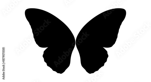 A black butterfly silhouette against a white background, symbolizing transformation and freedom.