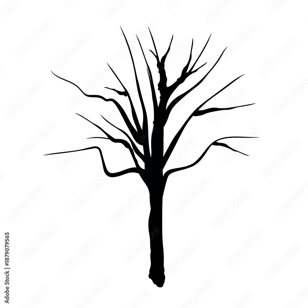 Fototapeta premium Doodle trees. Isolated black and white icons on white background. Spring tree for your design. Vector symbol sign. Plants, landscape design. Eco idea concept.