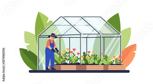 Illustrative greenhouse scene with gardener cultivating vibrant tulips on a sunny day