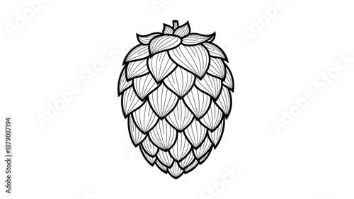Illustration of a hop cone with detailed line art and shading techniques showcasing the botanical features