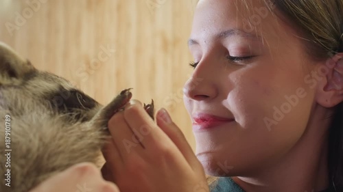 caucasian woman kissing raccoon paw in warm indoor setting, wildlife rehabilitator cradles young raccoon, gentle closeup captures trust and soft lighting, emotional caretaking moment with careful claw