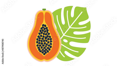 Vector illustration of a papaya fruit with a leaf on a white background from a front view