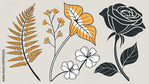 Botanical arrangement featuring golden foliage white blossoms and a striking black rose silhouette