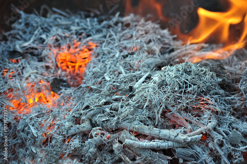 Fotografija burning and smoldering gray ash close-up