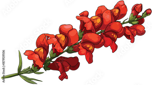 Colorful Snapdragon Flower Cartoon Style Illustration for Design Projects