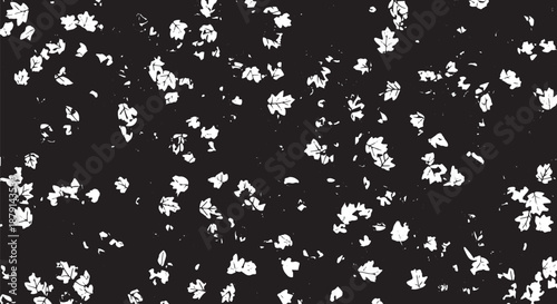 Abstract speckled black texture with white scattered particles for design.