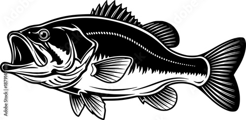 Cutthroat trout freshwater fish with fins and tail for river nature and sport fishing – Black Vector Illustration
