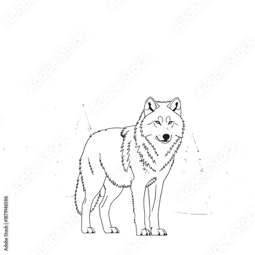 Minimal line drawing of a standing wolf looking forward.