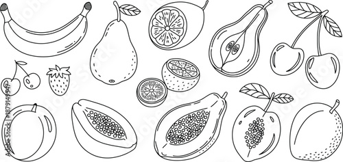 A Diverse Collection of Hand-Drawn Fruit Illustrations, Featuring a Variety of Fresh and Vibrant Produce