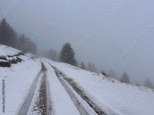 Snowy mountain road through foggy conifer forest