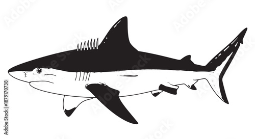 Black and white silhouette of a sleek shark swimming through the ocean.