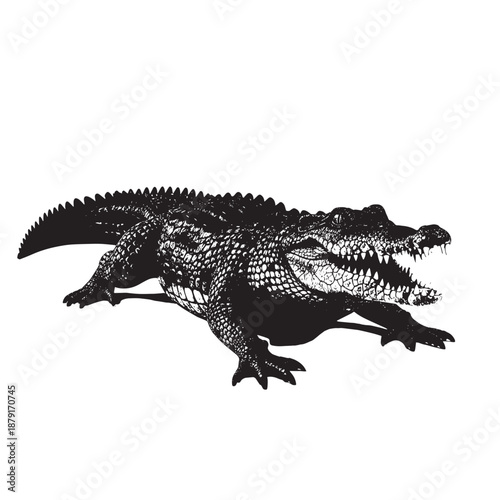 Pair of dark crocodile silhouettes depicted in a bold monochrome illustration.