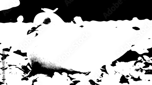 High-contrast abstract black and white texture with rugged contour and negative space shapes.