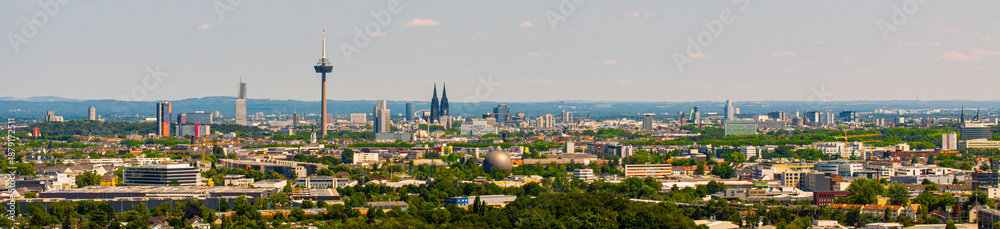 Fototapeta premium cologne germany cityscape in summer