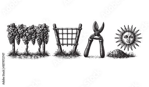 Black and white illustration showing vineyard themed objects like grapes, pruning shears, a trellis, and sun; perfect for backgrounds, logos, or educational materials.