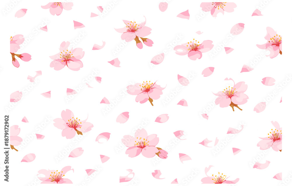 Fototapeta premium Seamless pattern of pink cherry blossoms and petals on white background