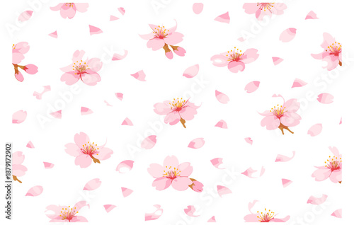 Seamless pattern of pink cherry blossoms and petals on white background