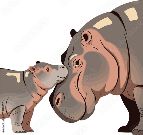 Hippopotamus clipart closeup with mother and baby kissing tenderly