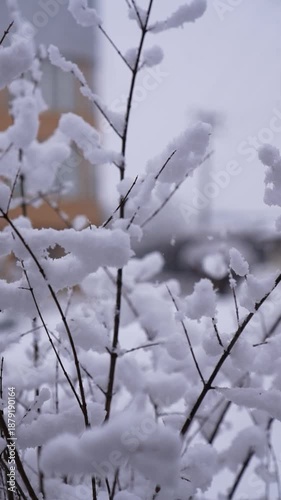 Slow-motion snowfall and nature, story video.