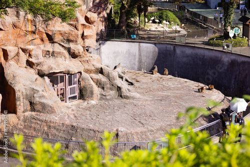 広島市安佐動物公園　ヒヒ山ビューポイントからの眺め