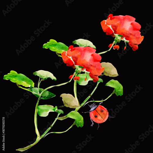 Flowers  pattern.Image on white and colored background.