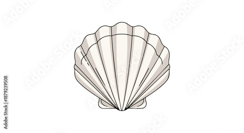 A crisp vector drawing showcasing the elegant ribbed structure of a timeless scallop shell illustration isolated on white
