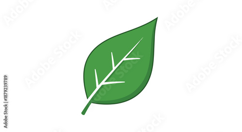 Vibrant single green leaf with clear vein structure depicted against a pristine white background representing natural freshness organic growth and