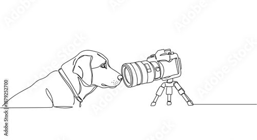 Line drawing of a dog interacting with a camera on a tripod in a simple setting on a transparent background