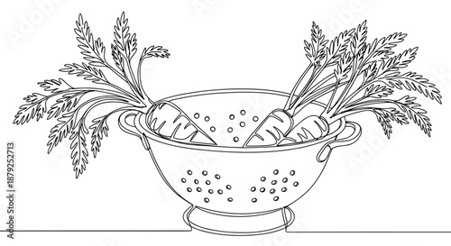 Line drawing of a colander with carrots and herbs isolated on a transparent background