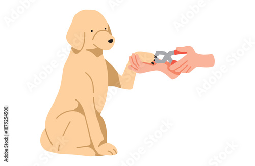 爪切りをする犬　手書きイラスト