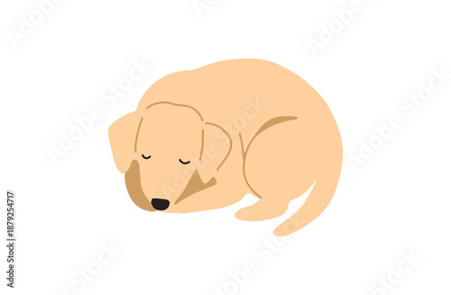 丸まって寝ている犬　手書きイラスト