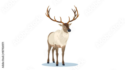 Arctic Reindeer Vector – Winter Wildlife Illustration