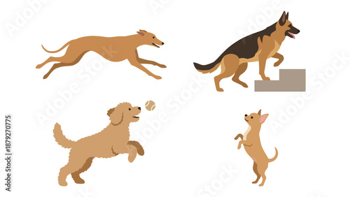 Diverse Dog Breeds: Vector Illustration Set
