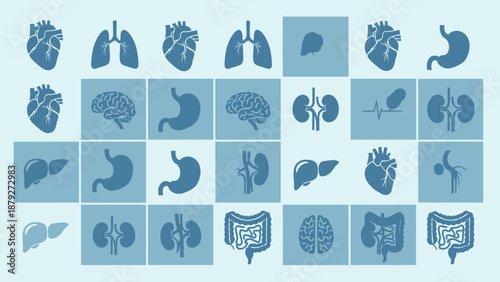 Human Anatomy Organ Icons Set: Heart, Lungs, Brain, Stomach, Kidneys, Liver, Intestines