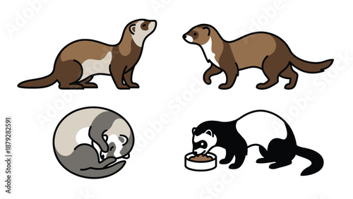Ferret Illustrations: Cartoon-Style Collection
