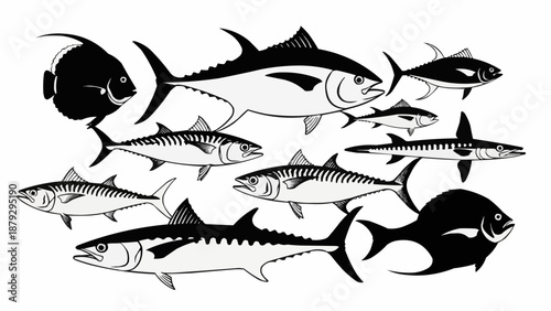 Collection of various fish species illustration.