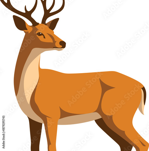 Deer Vector Illustration - Brown Doe with Antlers Isolated on White Background