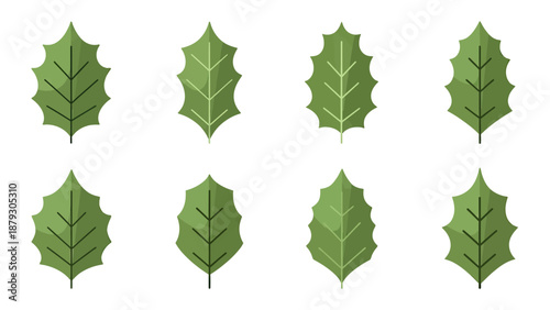 Green Holly Leaves Pattern Set