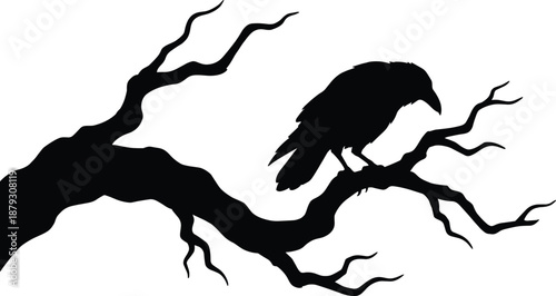 Raven silhouette leaning on twisted bare tree branch, dark gothic bird illustration, eerie minimalist wildlife artwork, black vector design
