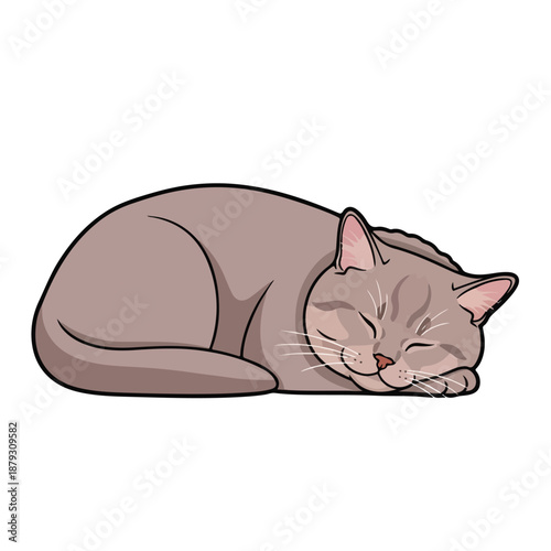 A cute cartoon cat sleeping peacefully