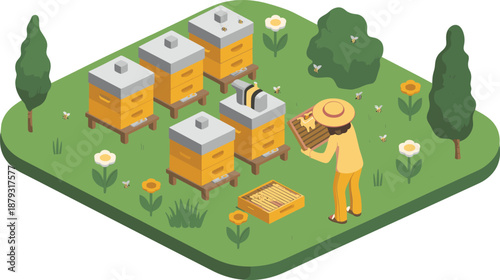 Isometric beekeeping illustration with beekeeper harvesting honey, beehives, bees, garden flowers, sustainable agriculture, apiculture, organic honey production