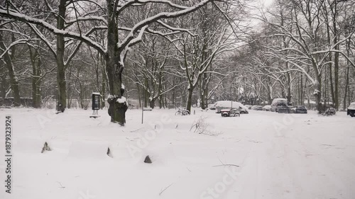 Footage of heavy snowfall in Hamburg City Park