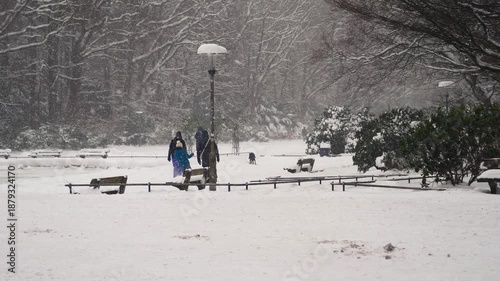 Footage of heavy snowfall in Hamburg City Park